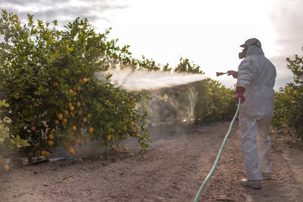 Best Fumigation Services  in Perry, OH